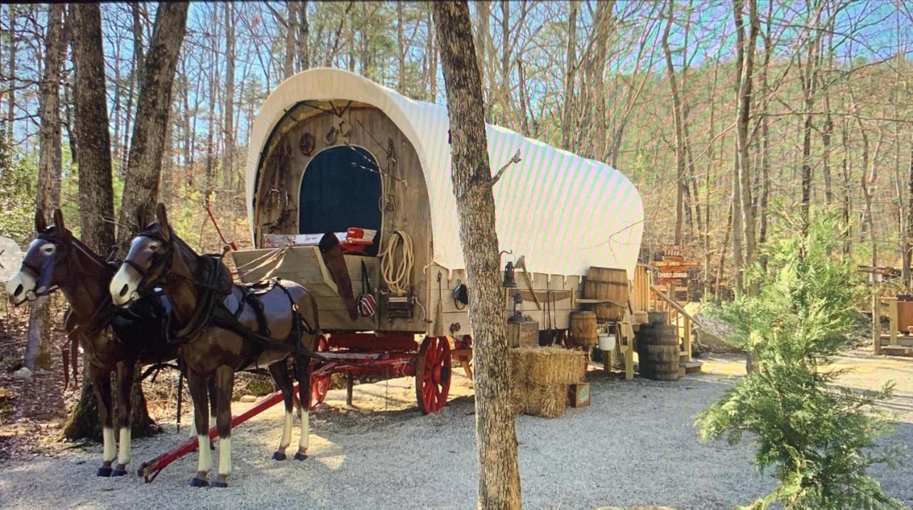 핫스프링스 Fox Pass Cabins B&B 외부 사진