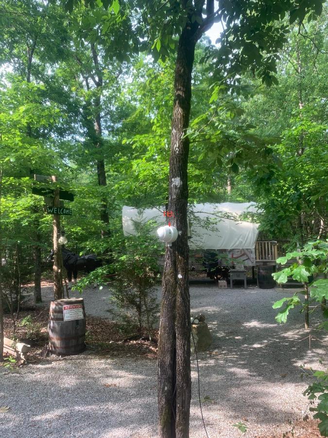 핫스프링스 Fox Pass Cabins B&B 외부 사진